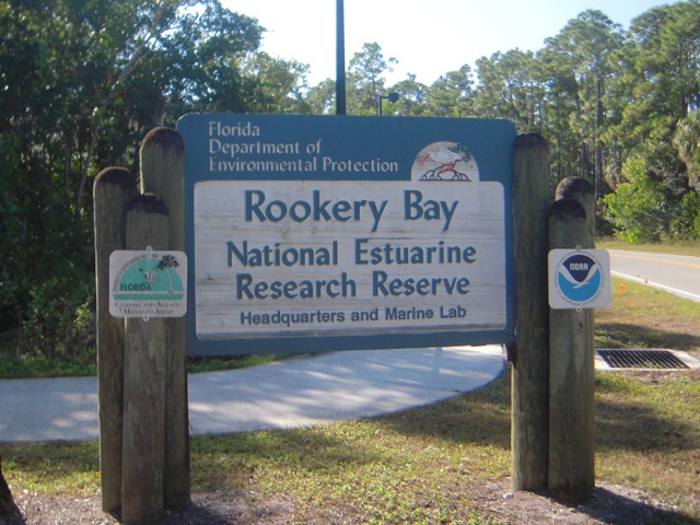 Naples Real Estate - Rookery Bay Environmental Learning Center Photo