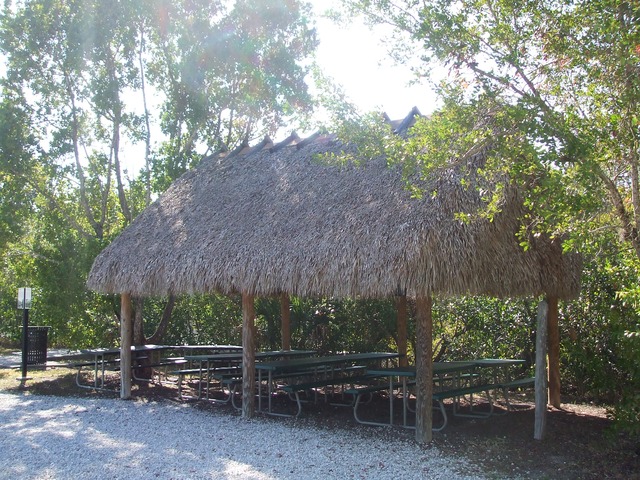 Naples Real Estate - Rookery Bay National Estuarine Research Reserve Photo