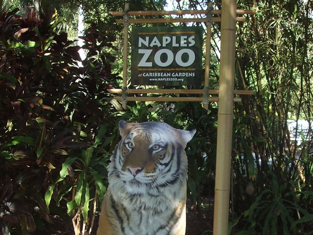 Naples Real Estate - Naples Zoo Photo