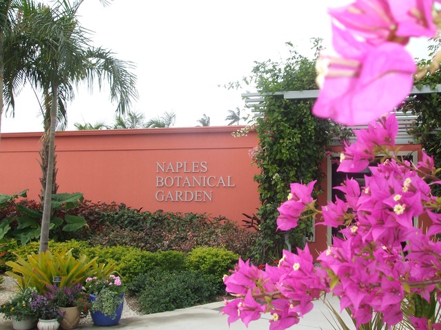 Naples Real Estate - Naples Botanical Garden Photo