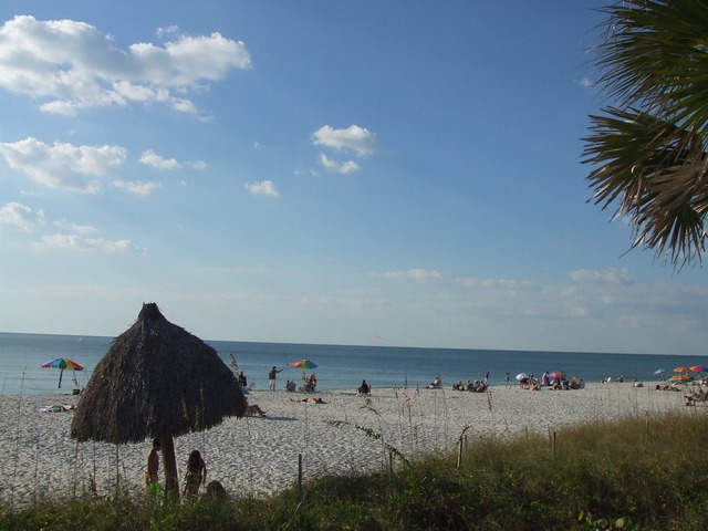 Naples Area Board Of Realtors Lowdermilk Park Naples Real Estate Lowdermilk Park Main Poi Photo